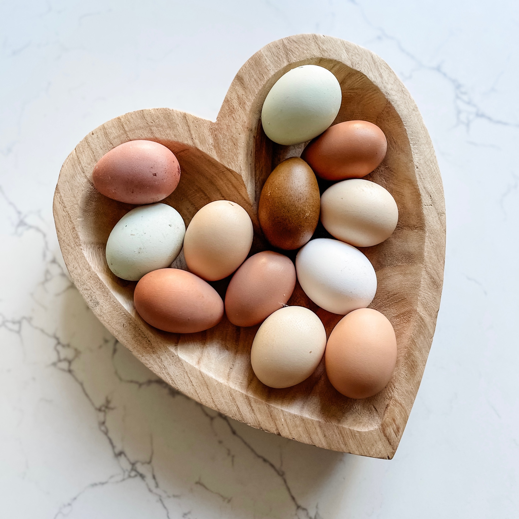 A Beginner’s Guide to Backyard Chicken Raising