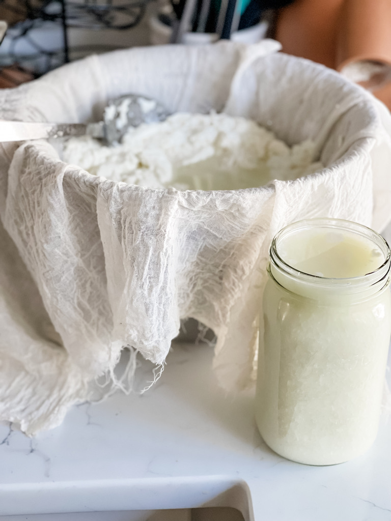 Homemade Cheese Making