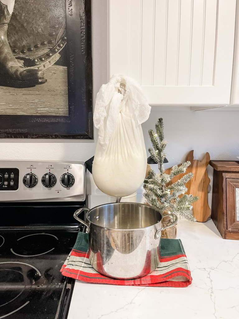 Draining cheese curds in cheesecloth for homemade chevre from raw goats milk