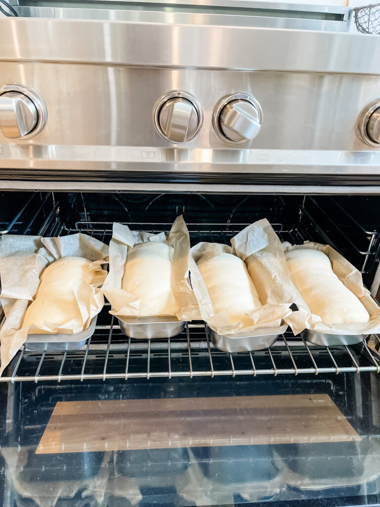 Sourdough rolls in oven pivot farm
