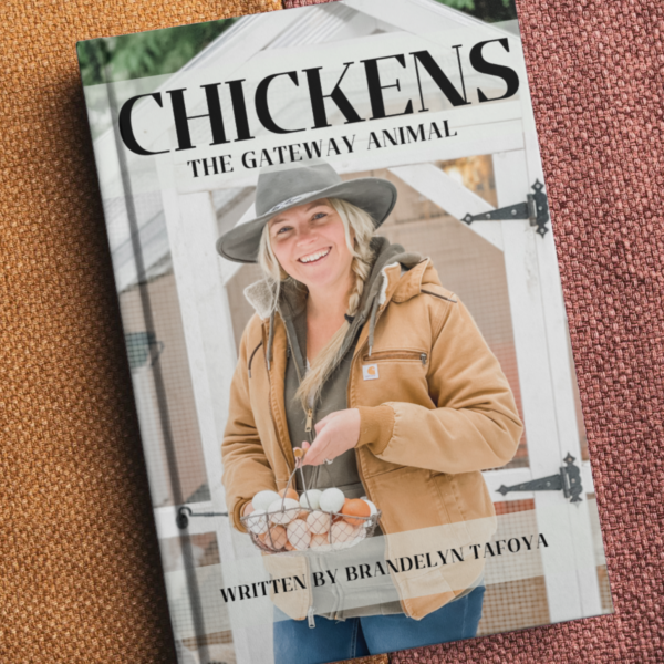 Chicken Book